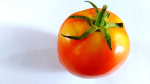 Close-up of orange tomatoes