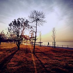 Scenic view of sea at sunset