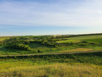 Scenic view of agricultural field against sky