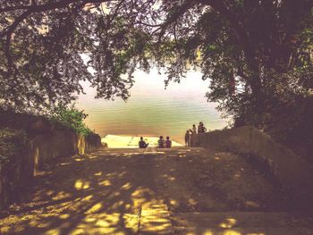 People on road amidst trees