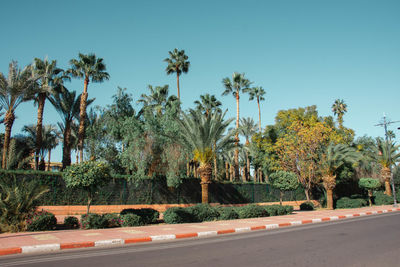 Road by trees against clear sky