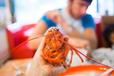 Close-up of hand holding lobster 