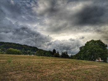 Scenic view of field against sky
