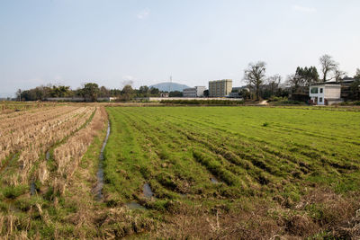 landscape