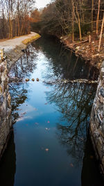 Reflection of trees in lake