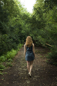 Rear view of woman walking in forest