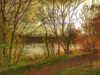 Scenic view of lake in forest during autumn