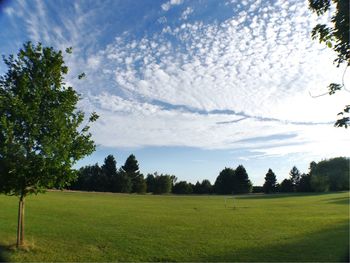 Scenic view of grassy field against cloudy sky