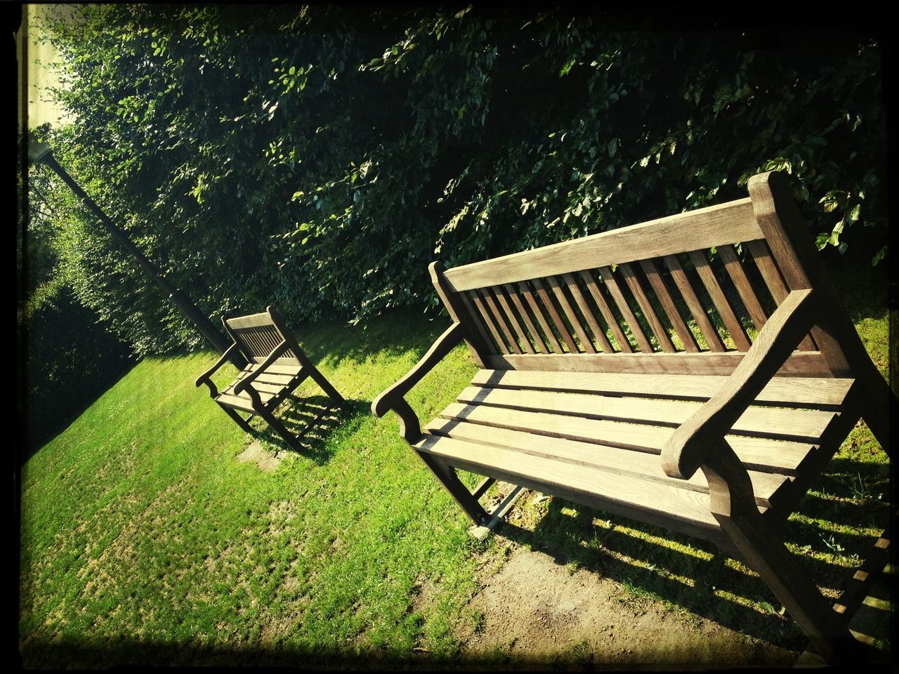 bench, empty, chair, absence, grass, tree, seat, park bench, tranquility, green color, growth, park - man made space, wood - material, nature, relaxation, tranquil scene, sunlight, field, transfer print, auto post production filter