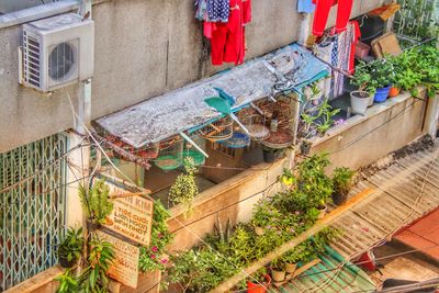 Low angle view of potted plants hanging outside building