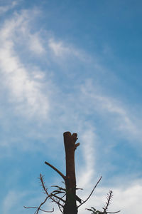 Low angle view of bare tree against sky