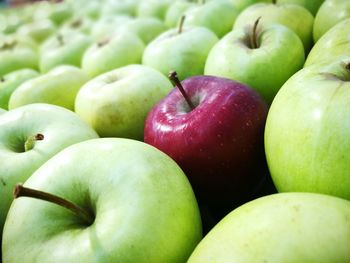 Full frame shot of apples