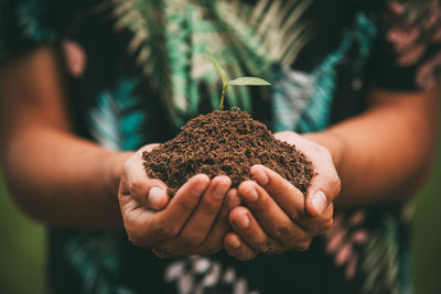 Close-up of hand holding plant