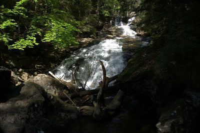 Scenic view of waterfall in forest