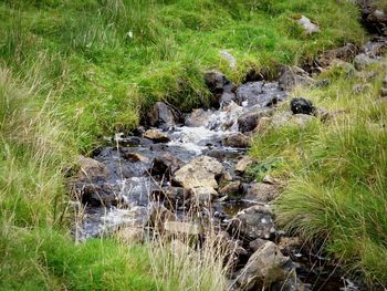 Stream flowing through rocks