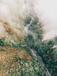 High angle view of water flowing through rocks