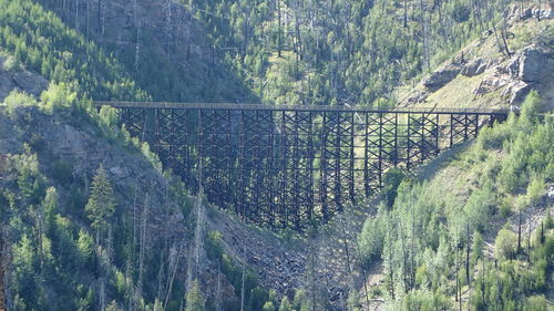 High angle view of trees and plants growing on land