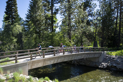 People on footbridge over canal against trees