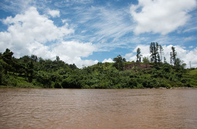 Scenic view of trees against sky