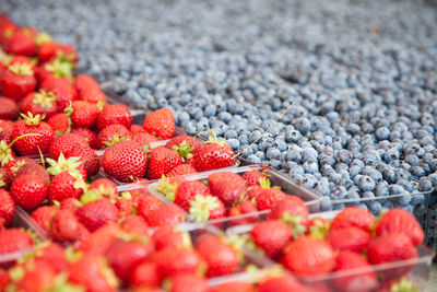 Close-up of strawberries and blackberries for sale in market