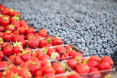 Full frame shot of red berries