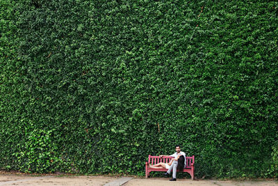 Couple relaxing while sitting on bench at park