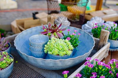 High angle view of potted plants in market