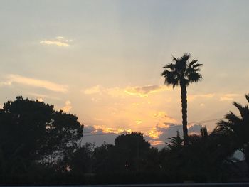 Low angle view of silhouette trees against sky