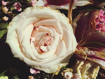 Close-up of rose bouquet