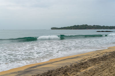 Tropical beach with palm trees. cloudy sky. arugam bay, sri lanka