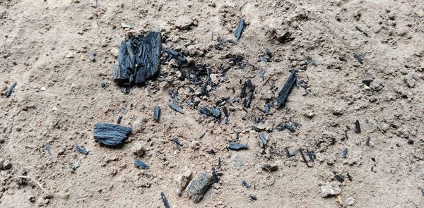 High angle view of broken sand on beach