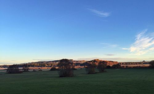 Trees on landscape against blue sky