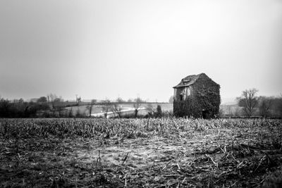 Agricultural field against sky