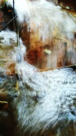 River flowing through rocks