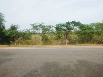 Empty road amidst trees against sky