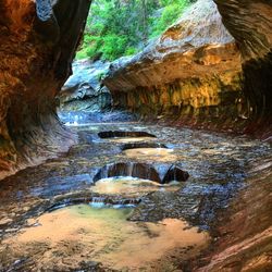 Stream flowing through rocks