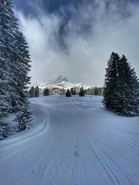 Snow covered land and trees against sky