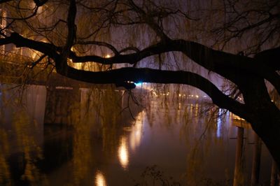 Silhouette bare trees by lake in forest during winter