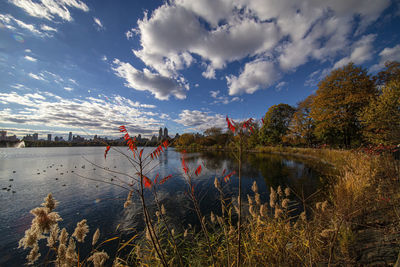 Central park reservoir in autumn