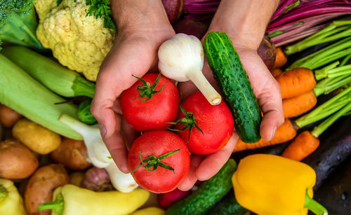 High angle view of vegetables