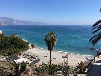 High angle view of palm trees on beach