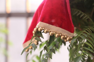 Close-up of christmas decorations hanging on plant