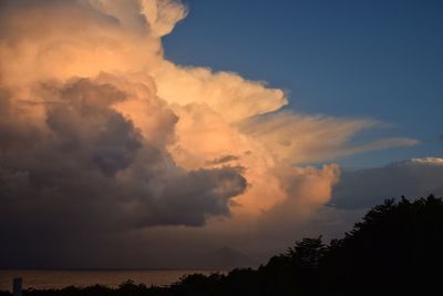 Low angle view of silhouette trees against sky during sunset