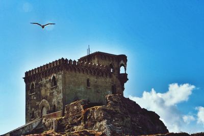 Low angle view of birds against blue sky