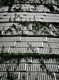 Low angle view of building