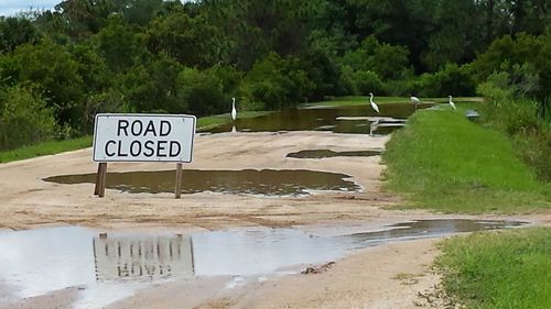 Information sign by trees at beach