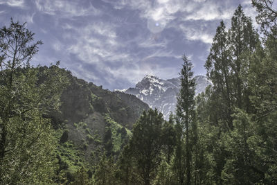 nature