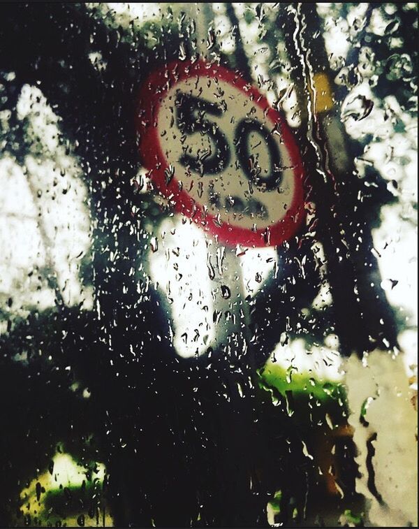 drop, wet, window, rain, glass - material, indoors, water, transparent, full frame, close-up, backgrounds, raindrop, weather, focus on foreground, tree, glass, season, no people, pattern, monsoon