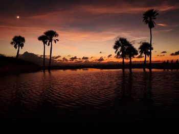 Silhouette palm trees by swimming pool against sky during sunset