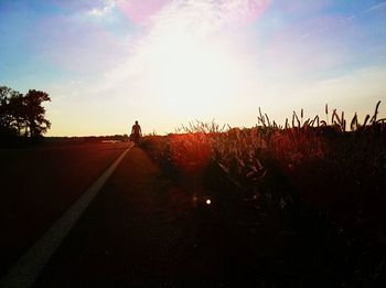 Silhouette trees on field against sky